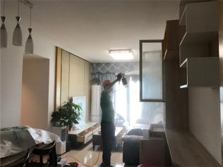 新房除甲醛只需一招，既簡(jiǎn)單又科學(xué)